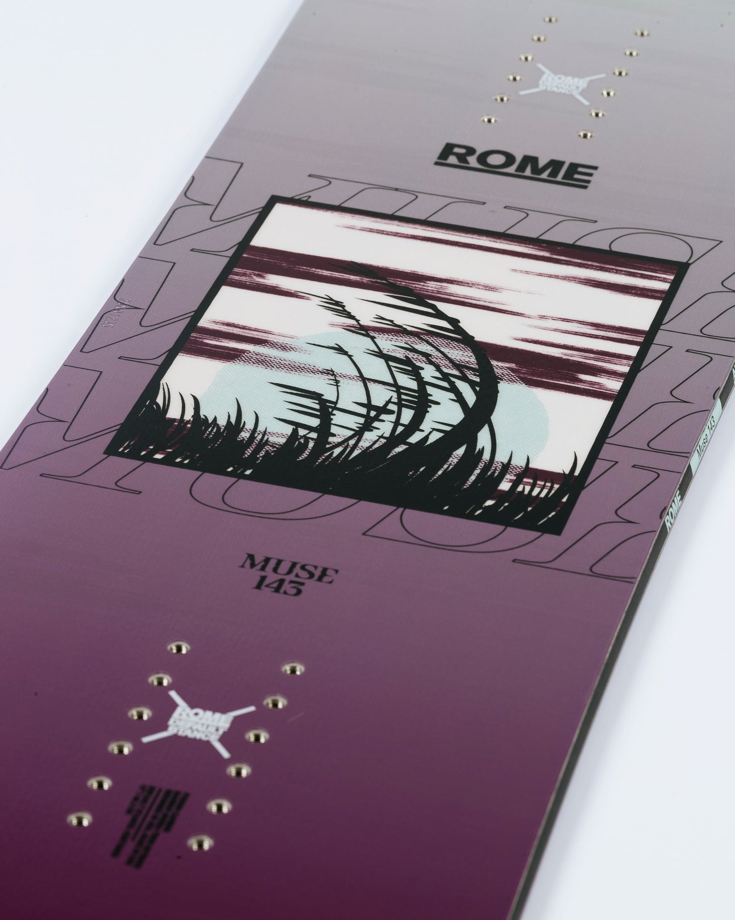 Rome Muse